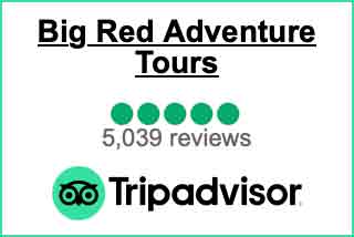 TripAdvisor