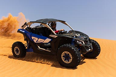 Anticipada – Can-Am X3