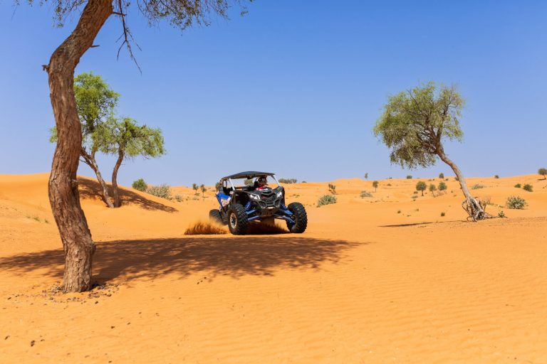 2 kişilik / Can-Am X3 / 2 saat - dune buggy tour Dubai, photo 3