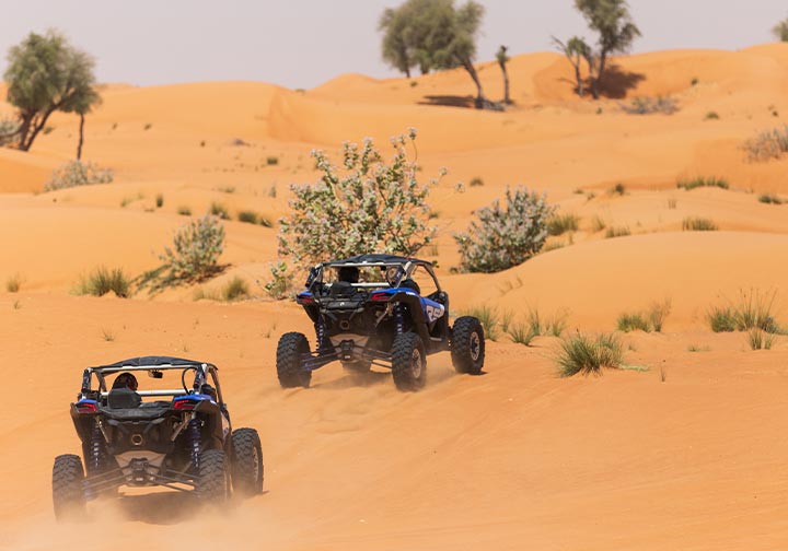 Excursions en buggy des dunes