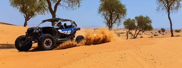 Excursions en buggy 2 place