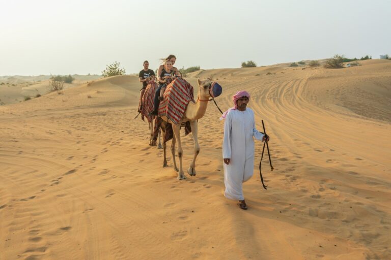 Guests on a guided camel ride across the dunes at sunset near Dubai